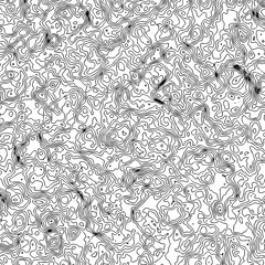 Black and white abstract contour lines. Geologist pattern background. Vector Format 