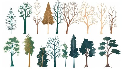 Collection of deciduous and evergreen forest plants isolated on white background Botanical collection of bare trees and ones with leaves and lush crowns Flat vector illustration on white background