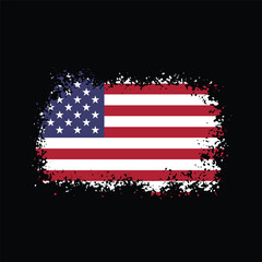 USA Flag isolated
