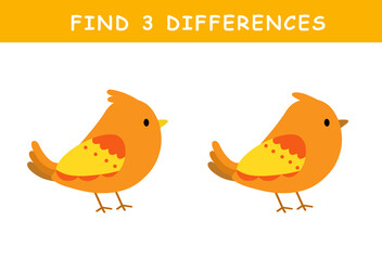Find 3 differences in illustration. Educational activity with cute bird illustration. Spot difference. Educational fun game for children.	