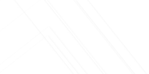 Abstract white line geometric corporate design and white background. Pattern of geometric white and gray color elegant abstract background, Web layout or poster, decorative banner.