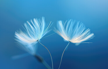 A closeup of two dandelion seeds, one floating in the air and another resting on its stem against a blue sky background.