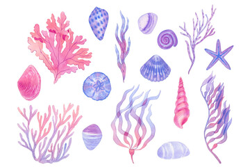 Watercolor painted, hand drawn underwater elements with shells and seaweeds, pastel colours, detailed drawings, can be use as print with shells and seaweeds on the clothes, textile design, invitation.