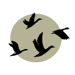 silhouette of a birds flying