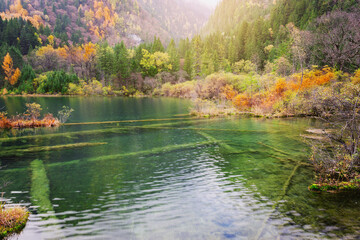 Lake at autumn sunrise time. Jiuzhaigou nature reserve, Jiuzhai Valley National Park.