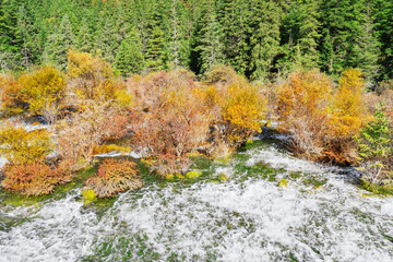 Autumn view of the waterfall. Jiuzhaigou nature reserve. Jiuzhai Valley National Park.