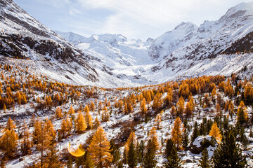Landscape in the Alps