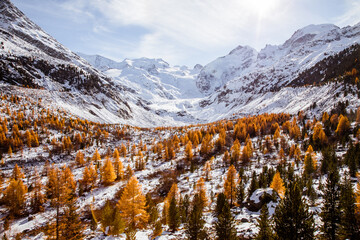Landscape in the Alps