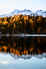 Landscape in the Alps