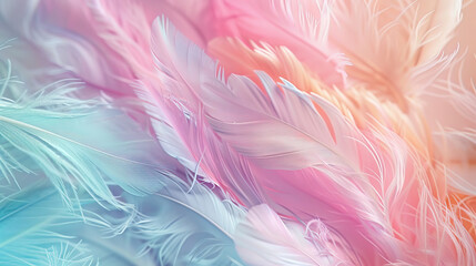 Abstract Background of Pastel Feathers with High Quality