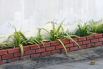 wall and grass