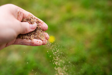 Isolated hand sprinkling flaxseed against a blurred grass garden background 