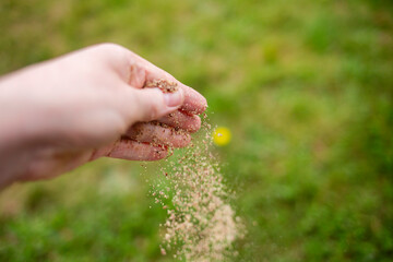 Isolated hand sprinkling flaxseed against a blurred grass garden background  - obrazy, fototapety, plakaty