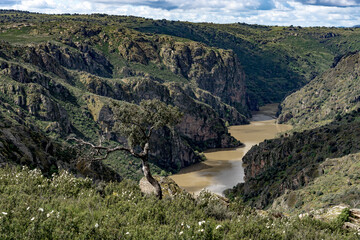 Meander of the duero river in the natural park of arribes del duero, Pinilla de Fermoselle, Zamora,...
