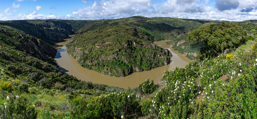 Meander of the duero river in the natural park of arribes del duero, Pinilla de Fermoselle, Zamora, Spain. - obrazy, fototapety, plakaty