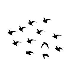 flying birds silhouette
