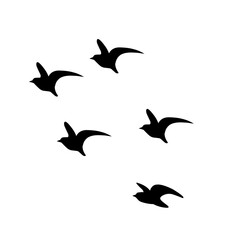 flying birds silhouette