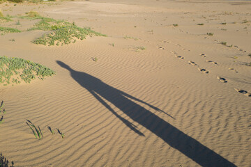 Sombra de hombre sobre la arena de la playa
