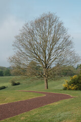 Morning walk over Cowdray golf coarse, Midhurst, West Sussex, England, UK.