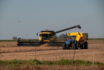 Máquina cosechadora enviando semillas a camión transporte 