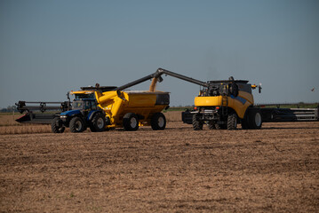 Cosechadora en campo Argentina enviando semillas al camión transporte