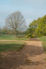 Morning walk over Cowdray golf coarse, Midhurst, West Sussex, England, UK.
