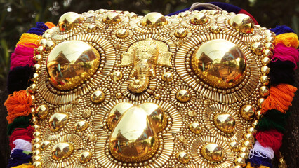 Closeup of golden caparison, the decoration of the elephants participating in the temple festival...