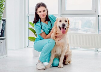 Golden retriever dog beside girl veterinarian in veterinary clinic