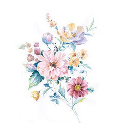 AquaFlora Hand Drawn Watercolor Flowers and Leaves Illustrations