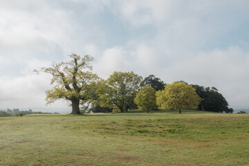 Morning walk over Cowdray golf coarse, Midhurst, West Sussex, England, UK.