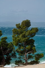 K&uuml;stenlandschaft