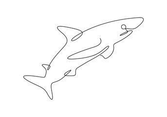 Shark fish continuous single line drawing vector illustration. Premium vector