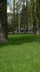 A smooth lawn in the park