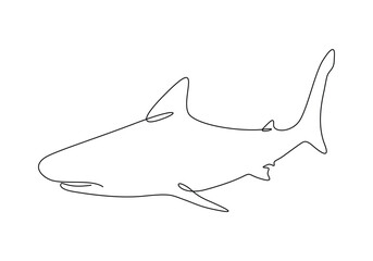 Shark fish continuous single line drawing vector illustration. Premium vector