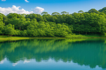 Obraz premium lake in the forest