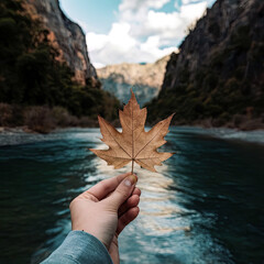 hand holding a leaf