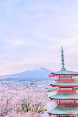 夕暮れときの新倉山浅間公園