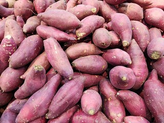 신선한 식재료 고구마