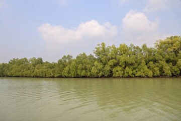 Sundarbans National Park in Bangladesh.this photo was taken from Sundarbans National Park,Bangladesh.