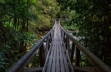 Bridge in hike