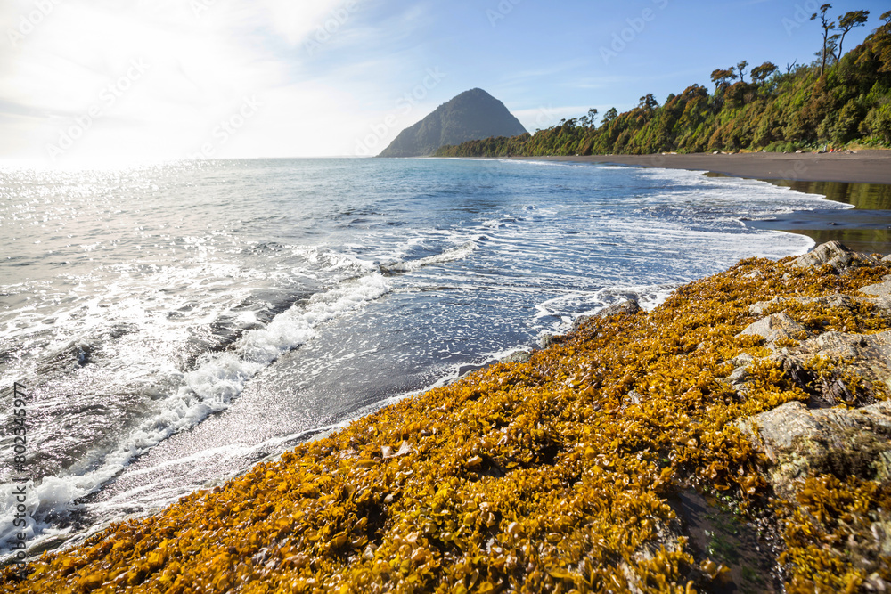 Canvas Prints Chile coast