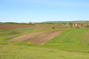 Obraz premium A farm field with a few houses