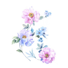 AquaBloom Watercolor Flowers and Leaves Illustration Collection