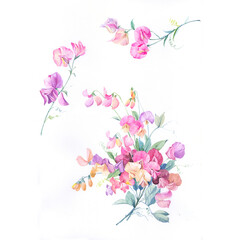 AquaBloom Watercolor Flowers and Leaves Illustration Collection