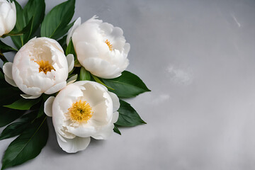 Beautiful White Peony Flowers on Neutral background with paper for text. Condolance Card, Funeral flower, Sympathy card