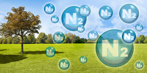 Nitrogen the most important fertilizer for the lawn - Concept with nitrogen molecules against a natural rural scene with tree and mowed grass lawn
