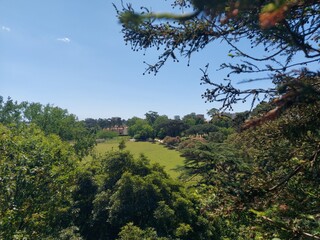 portugal, porto, turismo, verde, jardim, parque, ar livre, natureza, paz, calma, azul, &aacute;rvores, cidade, norte, europa, vistas, paisagem