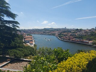 portugal, porto, turismo, verde, jardim, parque, ar livre, natureza, paz, calma, azul, árvores,...