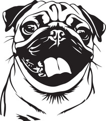 portrait of funny pug dog