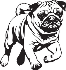 pug dog illustration